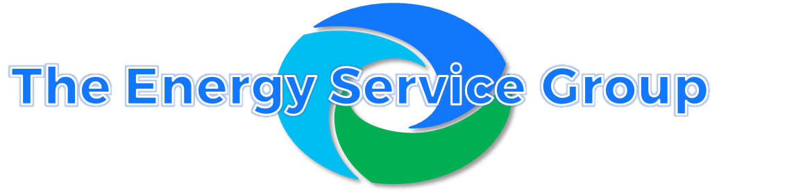 The Energy Service Group